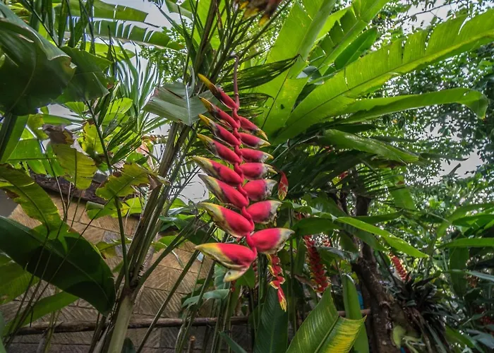 Pensión Tegar Ubud